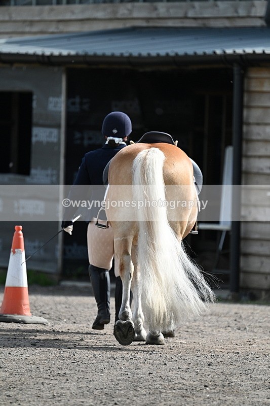 WJ7_8046 - Time 10:11 to 10:27