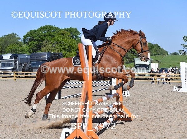 BPP_7972 - CLASS 2 Club/ Unaffiliated 80cms Open