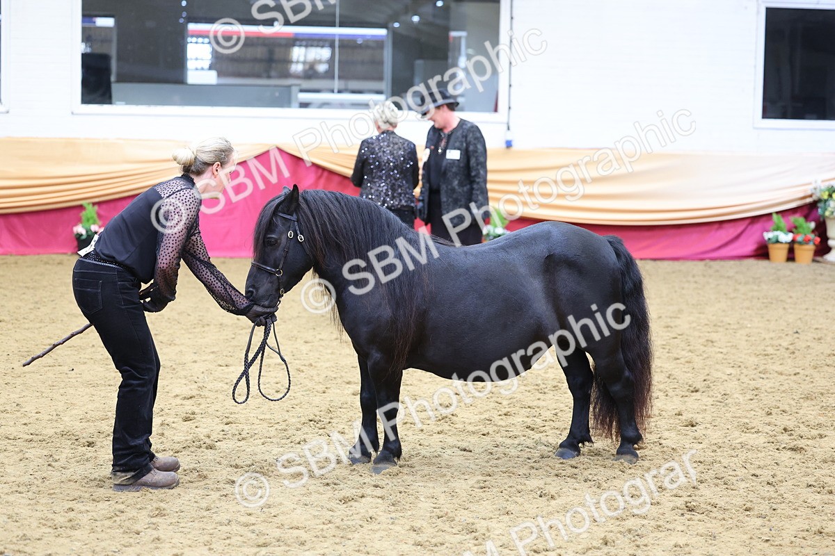 SBM_22858 - Class 903 - Supreme Final - IH Pre Vet