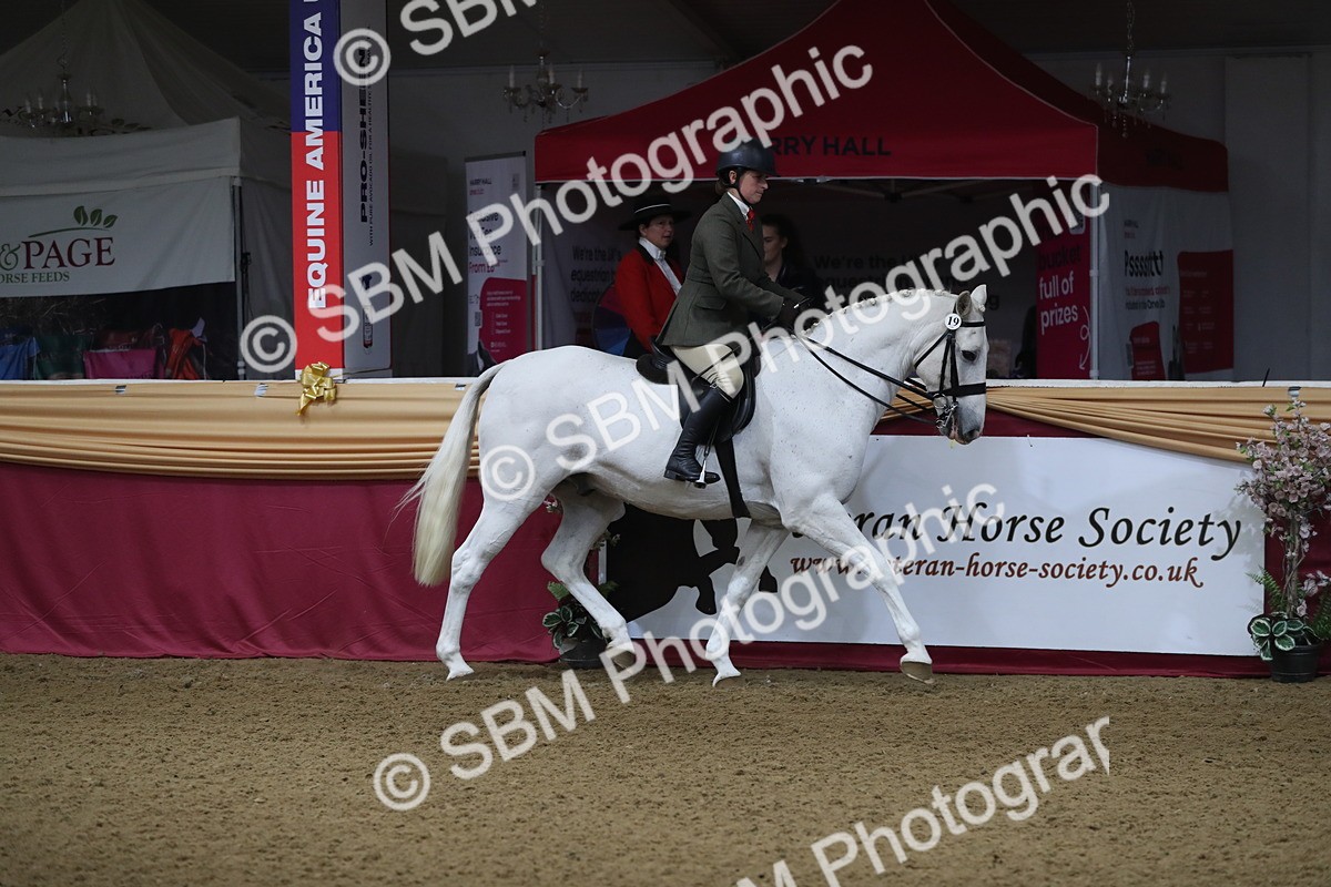 SBM_10300 - Class 102 Equitation (best rider) Adult