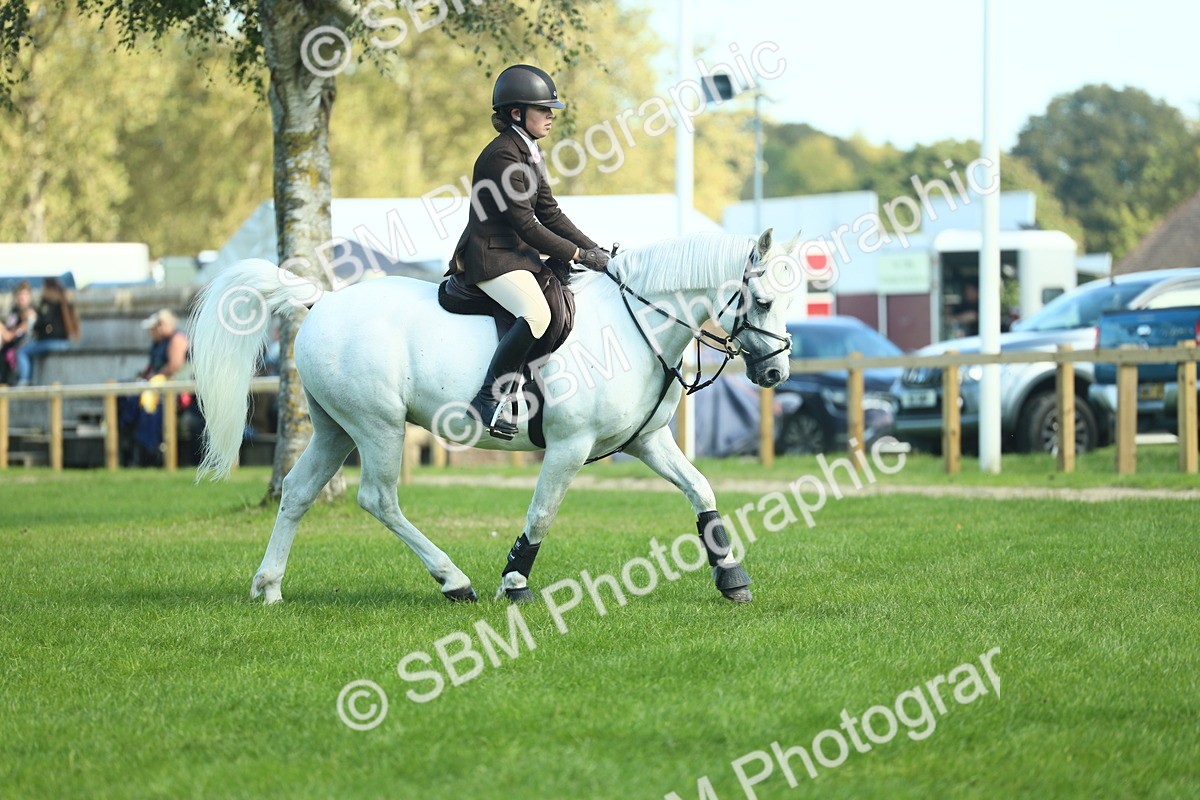 SBM_39214 - S29 - Novice & Newcomers Working Hunter Pony