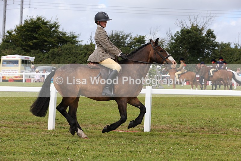 1X9A4084 - Class 32: Show Hunter Pony 153cm and under