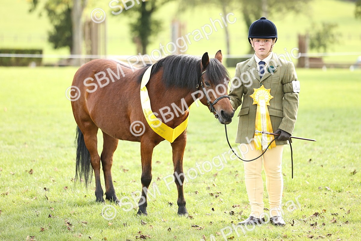 SBM_26299 - S5 - Novice & Newcomers In Hand