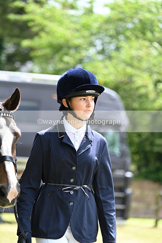 WJ7_6911 - Class 5a Most Handsome Gelding in Hand