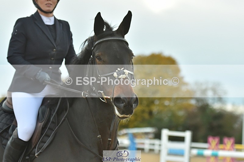 231111A-145628-02354 - Cls 14 Blue Chip 1.25m Winter Qualifier