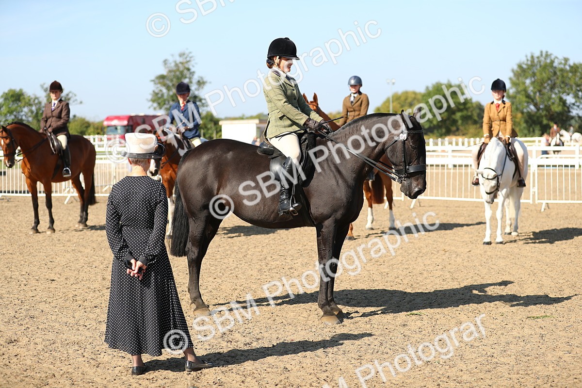 SBM_02253 - Class 43 Ridden Competition Horse/Pony