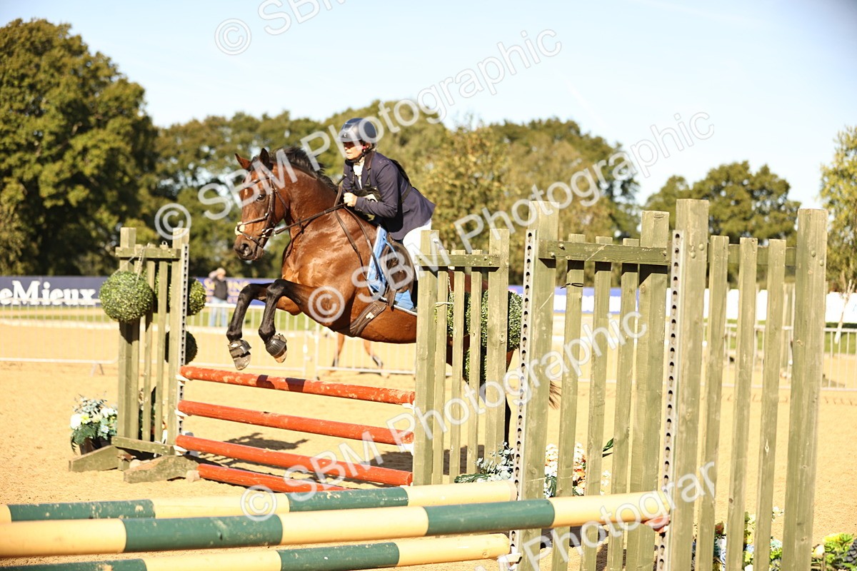 SBM_35192 - J38 - Senior 80cm Championship