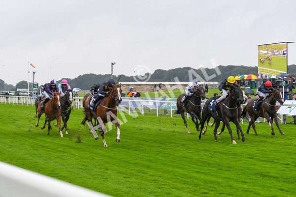 140723-Race 2-Swingalong-0152 - Race 2 2.40pm William Hill Summer Stakes