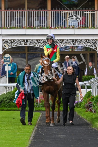 250524-Race 6-Primo Lara-4271 - Race 6 4.30pm Royal Yorkshire Regiment Handicap