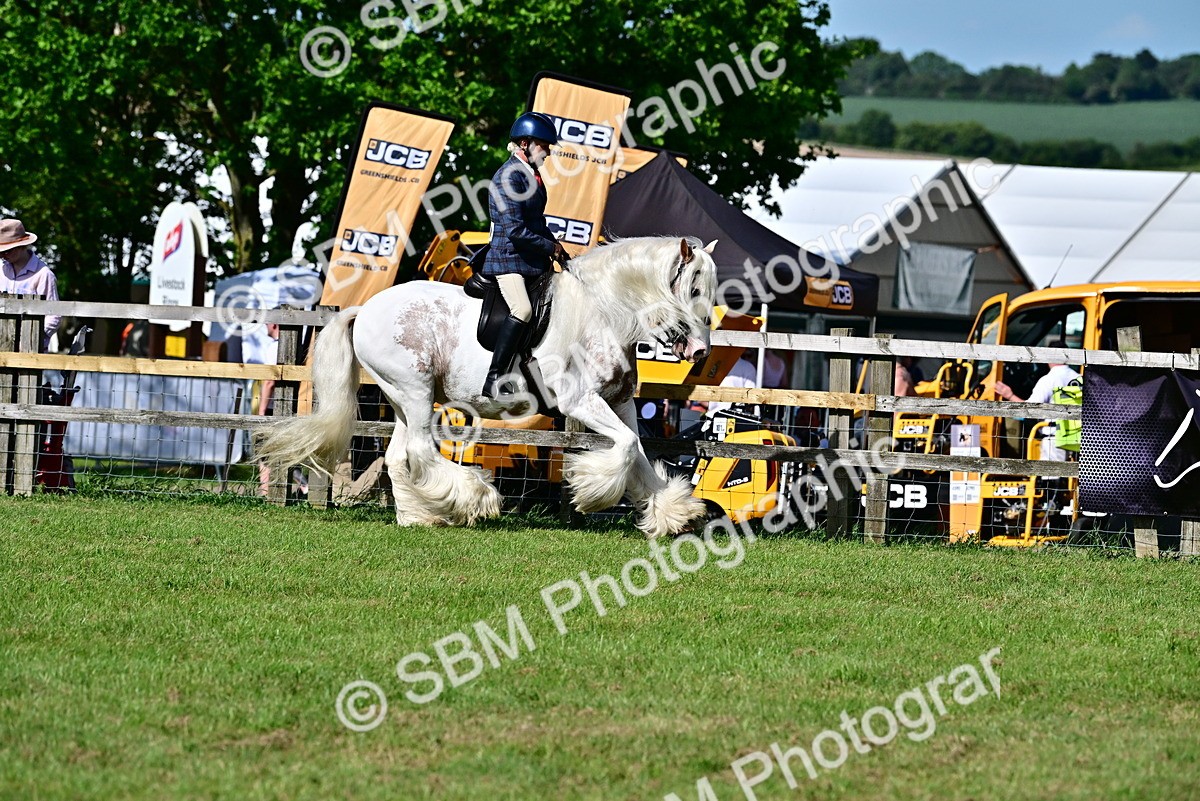 SBM_09381