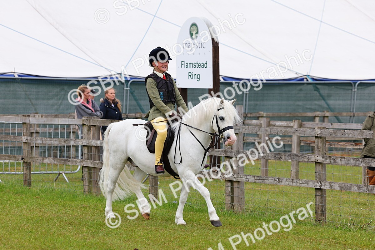 SBM_08514 - Class 42-43 - LIHS BSPS Heritage Working Sports Pony