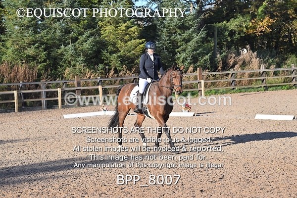 BPP_8007 - LONG ARENA