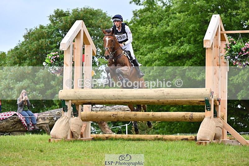 250524A-161140-14972 - C-258-Bill.Levett-ITALIAN.HARLEQUIN.NJ