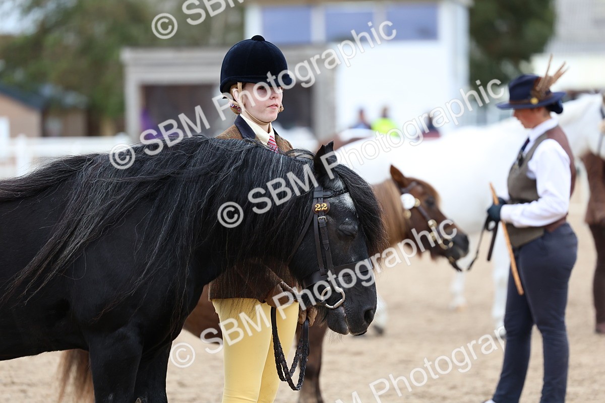 SBM_05955 - Class 29 - IH Veteran Pony