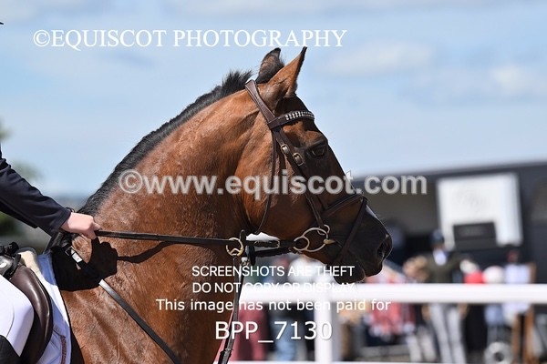 BPP_7130 - CLASS 14 FRI Nupafeeds Senior Dicovery/1m open