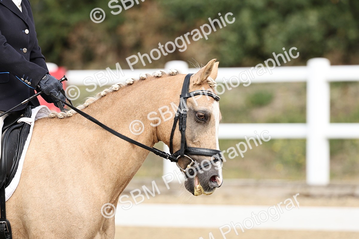 SBM_018197 - Class 16 - Novice 5 - 11.12-12.01