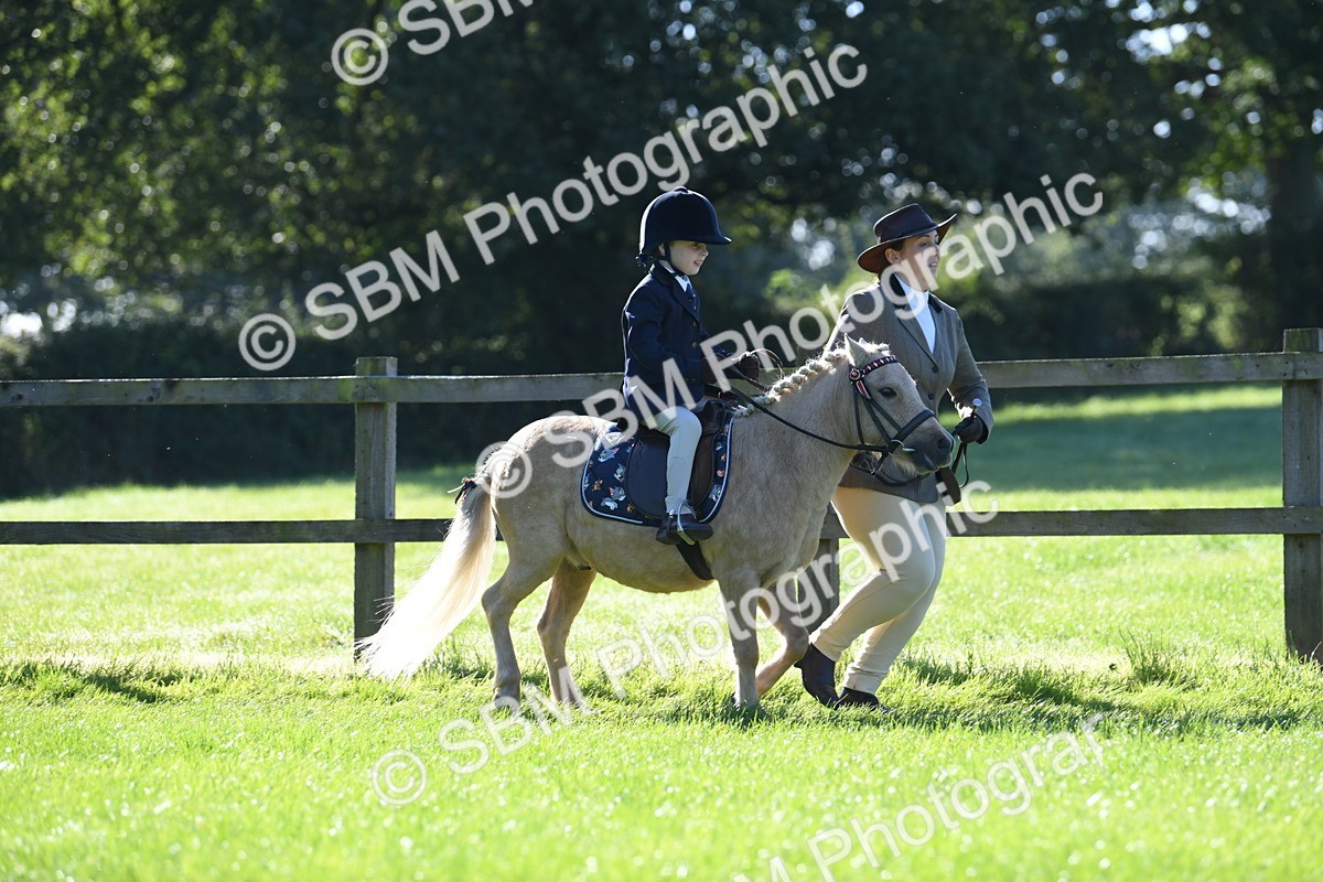 SBM_36729 - S18 - Novice & Newcomers Lead Rein Pony