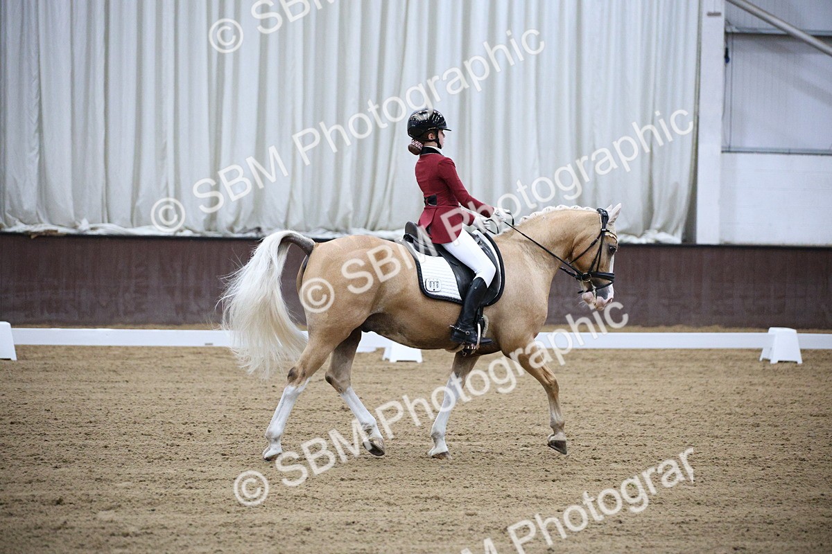 SBM_005325 - Class 15 - FEI Youth Class - 8.30-9.38