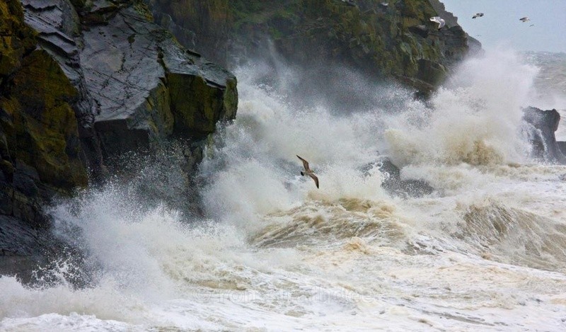 Enjoying the storm - Sea of Man