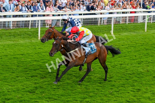 290723-Race 5-Baez-0835 - Race 5 4.35pm Sky Bet Prize Drop Handicap