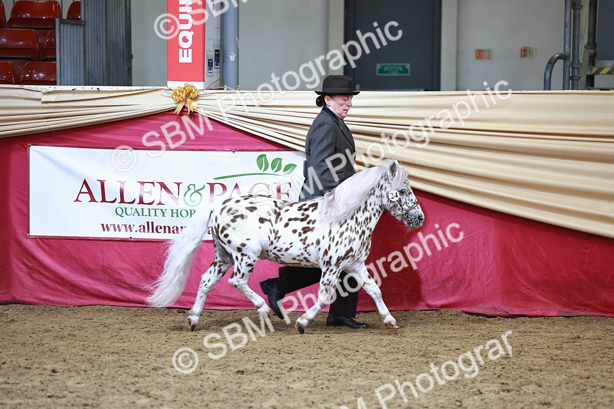 SBM_22233 - Class 902 - Supreme Final - IH Diamond