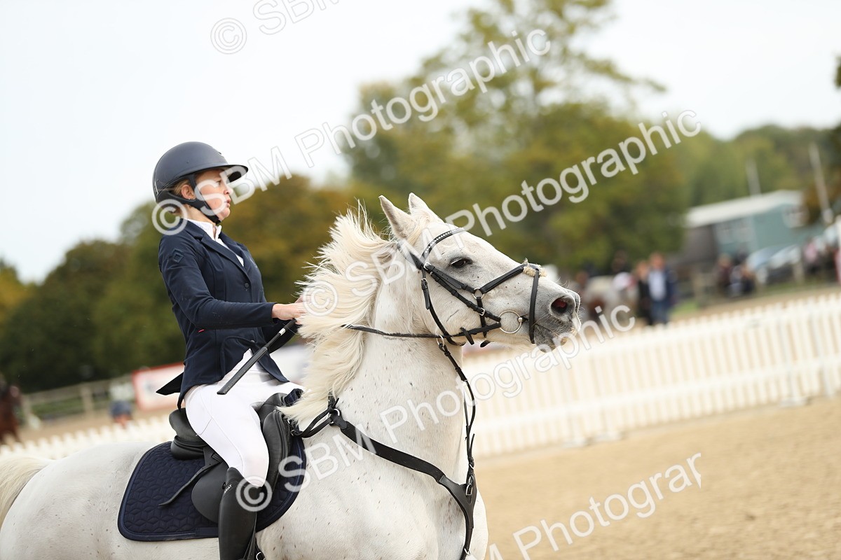 SBM_58581 - J25 - Junior Horse 80cm Championship