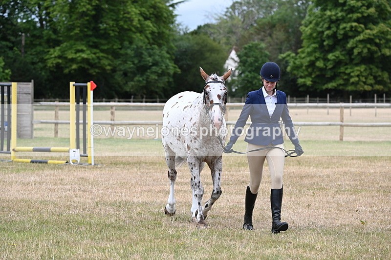WJ6_4292 - Class 10 Coloured In-hand