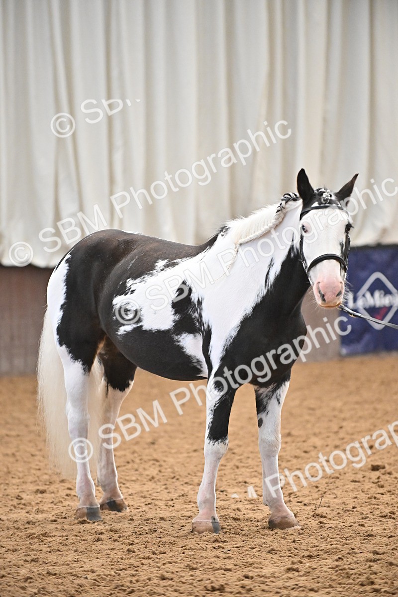 SBM_000292 - Class 10 - In Hand Coloured & Odd Coloured