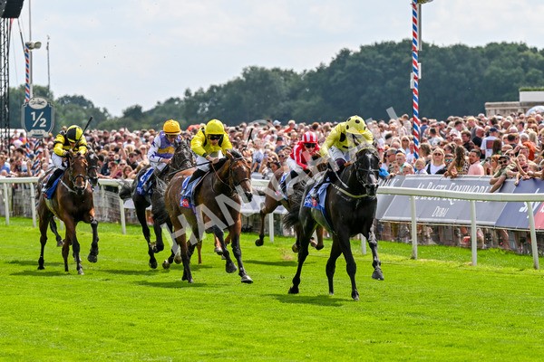 260725-Race 3-Royal Champion-0442 - Race 3 2.40pm Sky Bet York Stakes