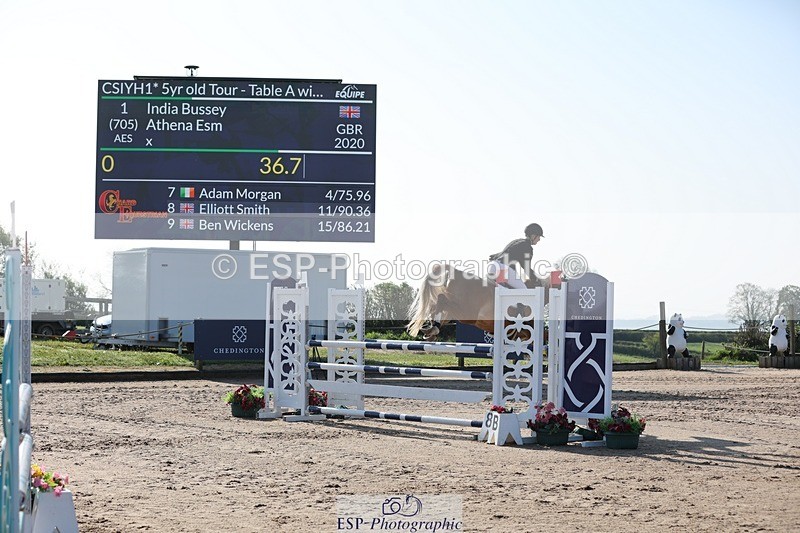 250427-085547-14667 - Cls 28 Young Horse 5yr old