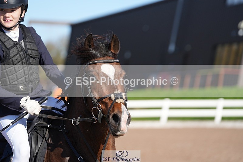 251025-122003-00335 - Cls 8 Pony Winter Pearl Champ Qualifier