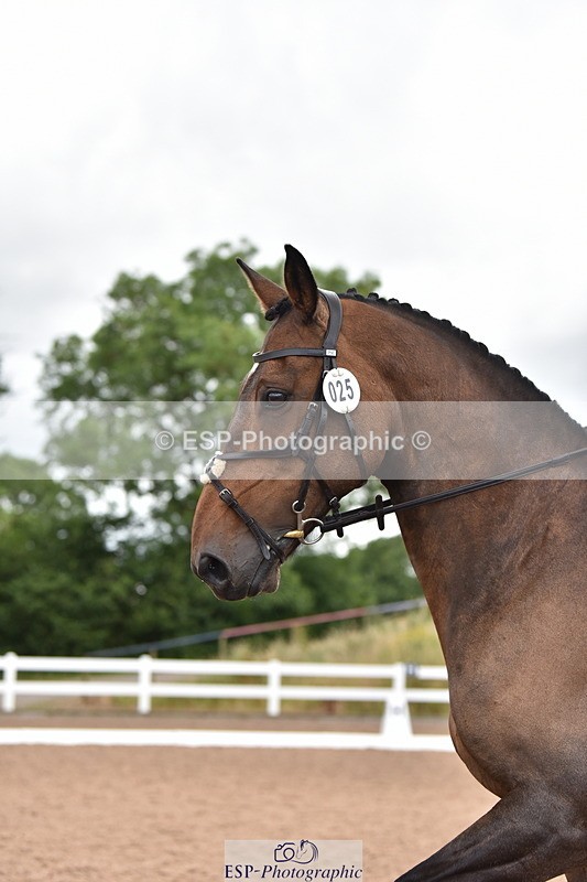 240706A-113812-01152 - Cls 3B Jnr Prelim 13