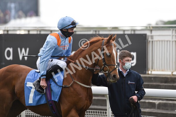 yr14052021r5-19 - Race 5 3.40pm The Jigsaw Sports Branding Handicap