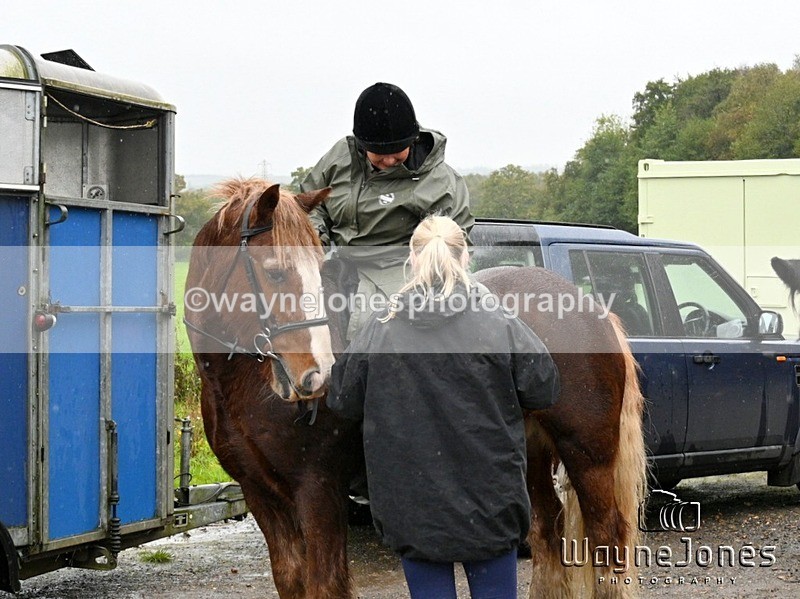 WJ7_8182 - Berks & Bucks Blackcroft Farm 20-10-24