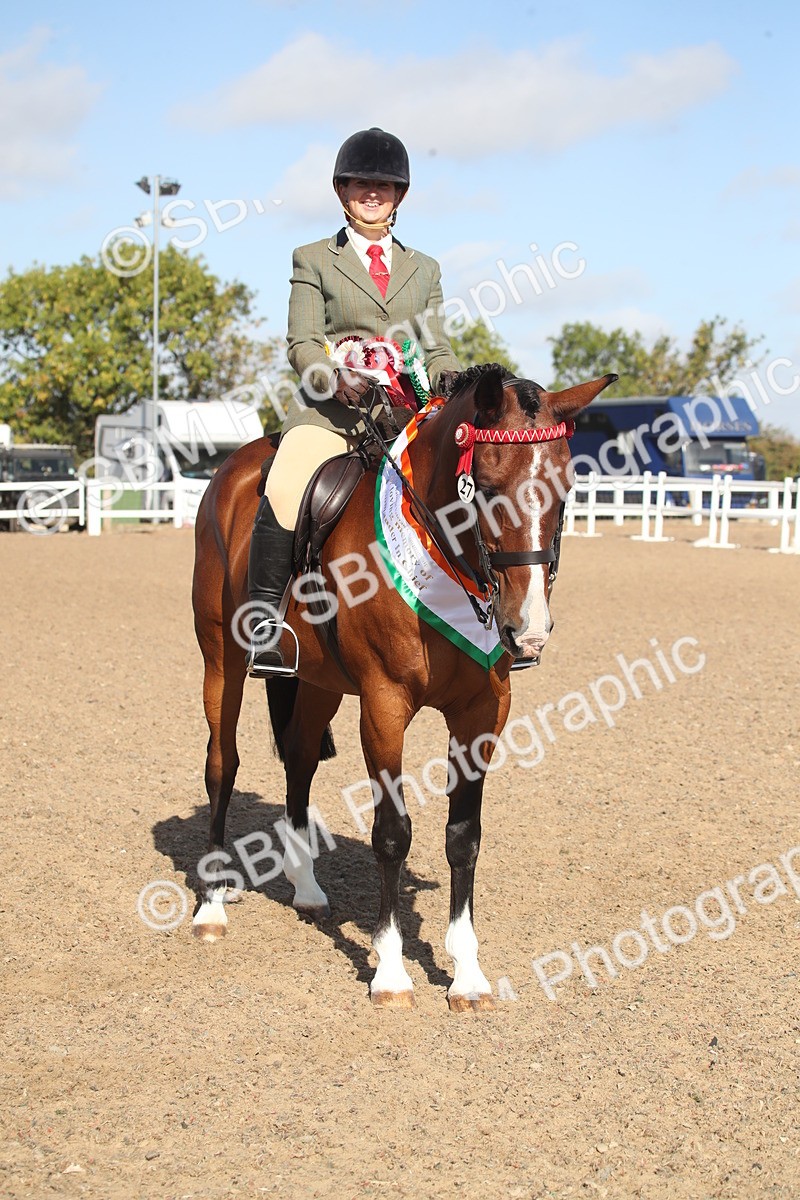 SBM_22733 - Class 601 - 2026 - Area - Ridden Diamond