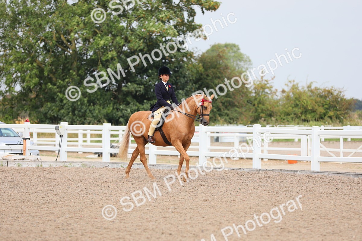 SBM_12656 - Class 307 Ridden Coloured Pony