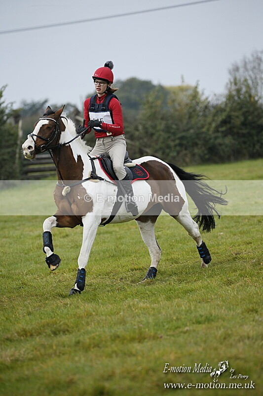 WWHT 181020 WWHT 181020 631 - WWEC Open Novice (0.80m) 18/10/20