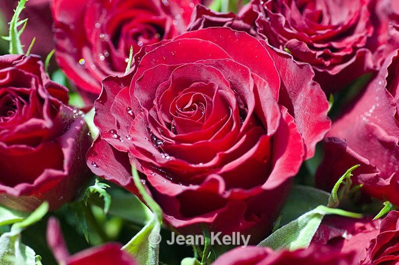 Flower - 3440 - Red
