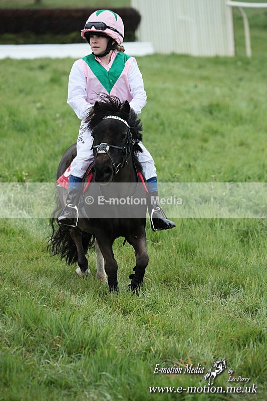 SHETPR 210425 236 - Shetland Ponies Paxford Races 21/04/25