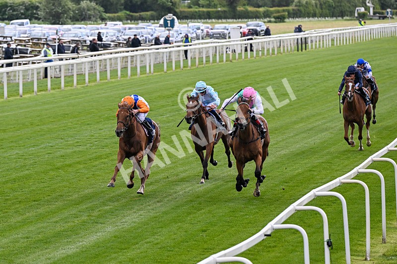 130526-Race 5-Legacy Link-0289 - Race 5 4.05pm Tattersalls Musidora Stakes