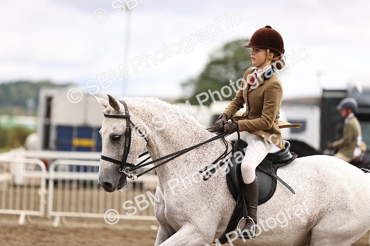 SBM_00601 - Class 53 - Ridden Competition Horse Pony