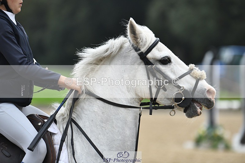 231001-135916-02762 - Cls 3 90cm