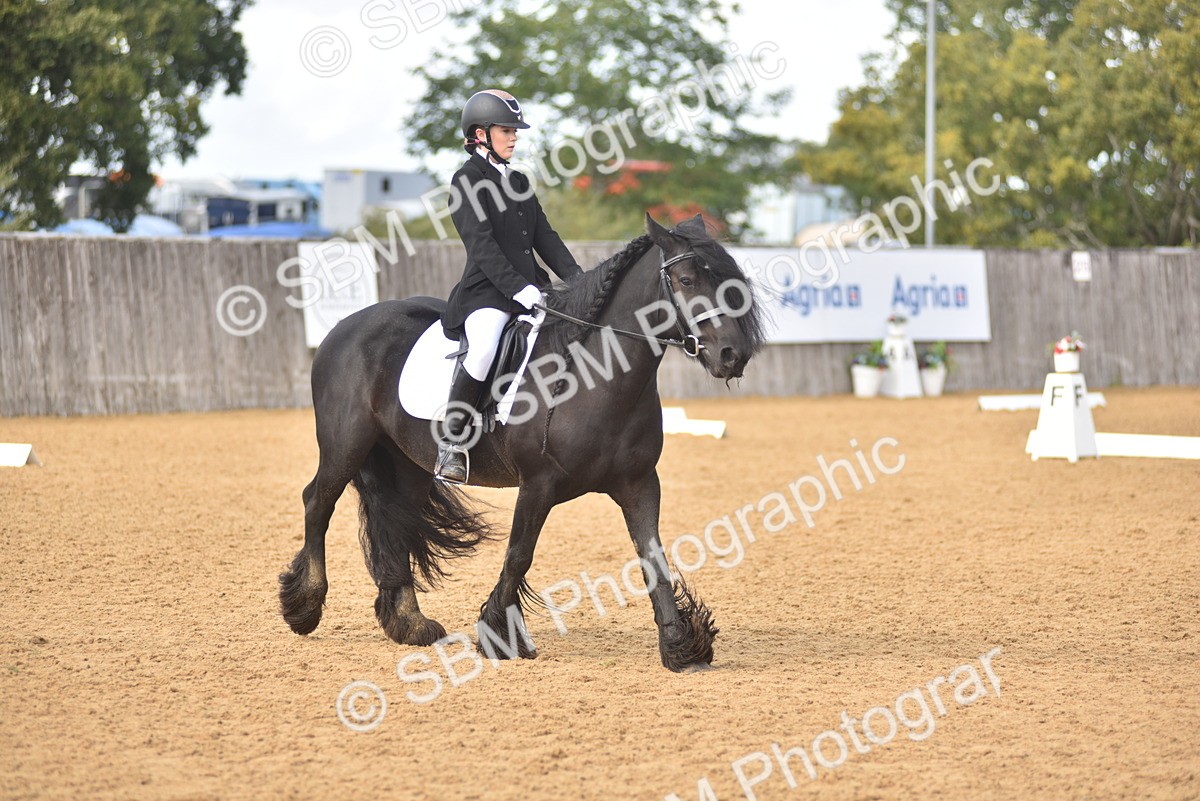 SBM_48797 - D22 - Junior Championship Intro 3