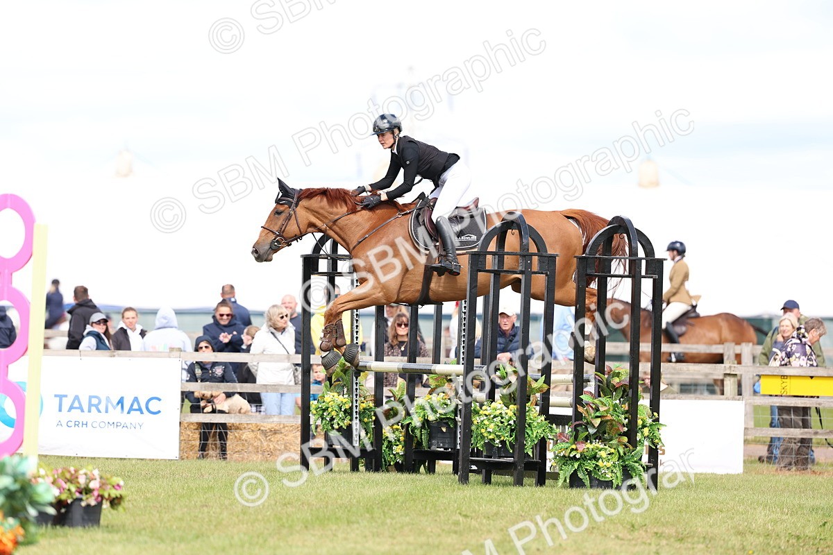 SBM_13584 - Class 206 - Senior Newcomers - 1.10m Open