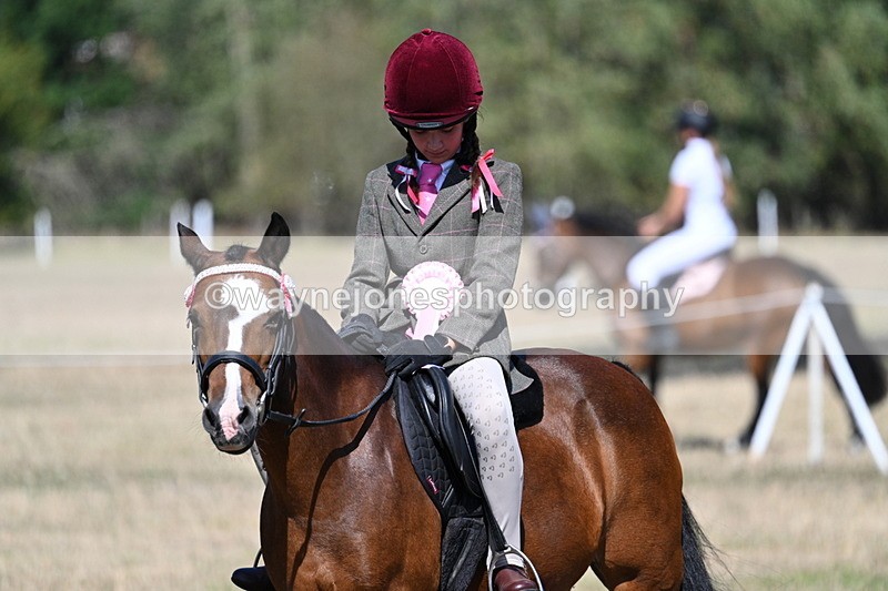 WJ7_4187 - Class 9 Mountain & Moorland Ridden