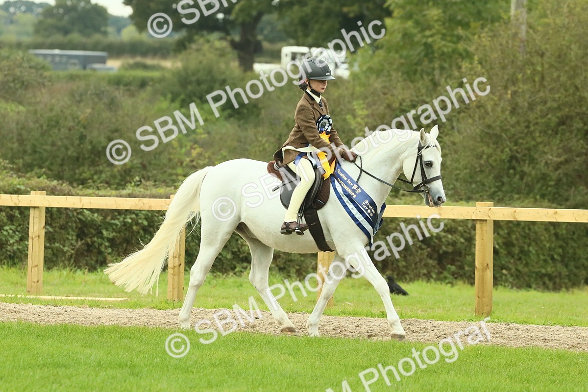 SBM_75150 - Super Supreme Championship