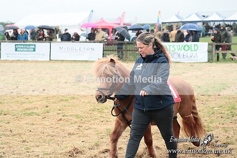 SHETPR 210425 16 - Shetland Ponies Paxford Races 21/04/25