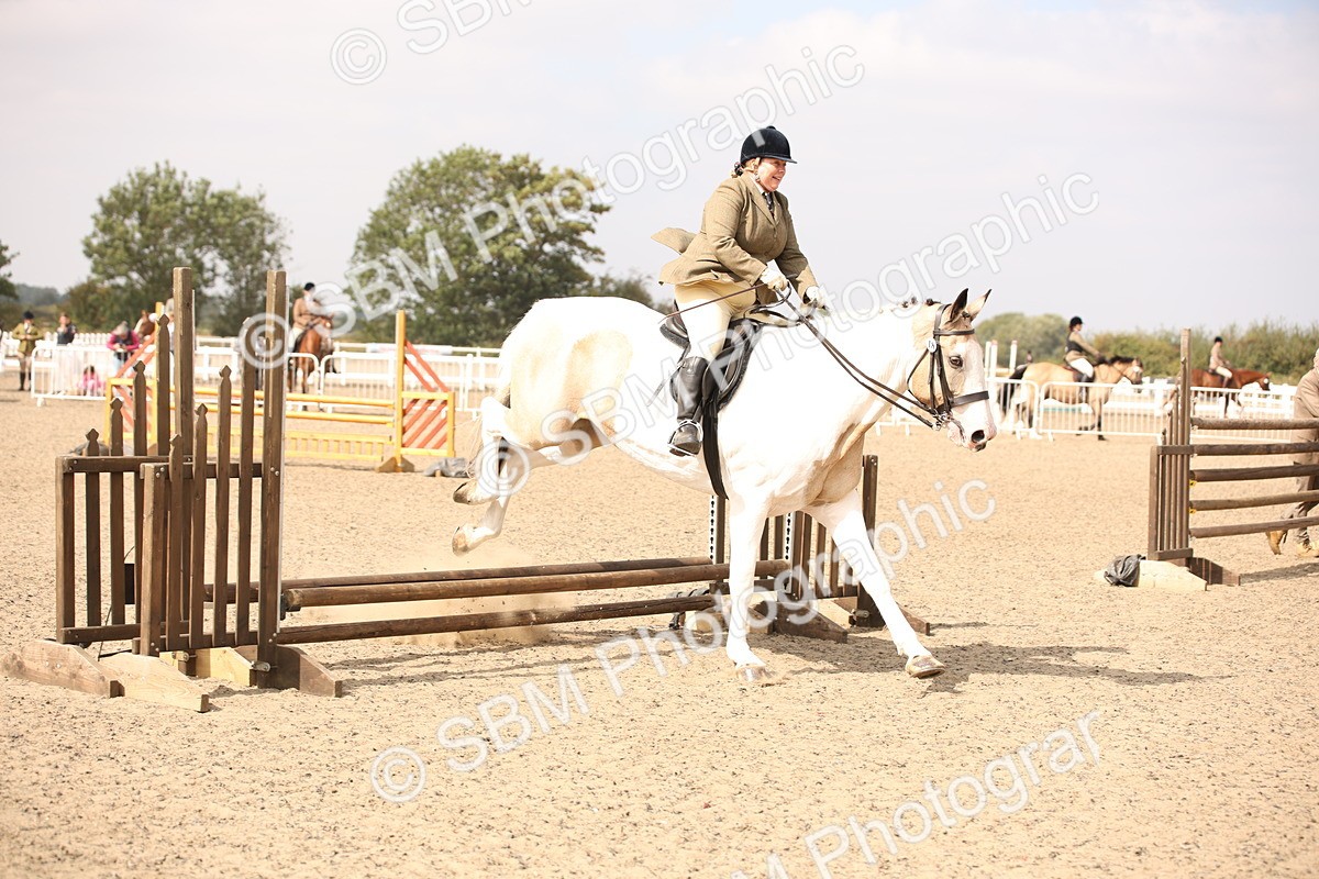 SBM_12923 - Class 406a - Working Veteran 50cm (15-19)