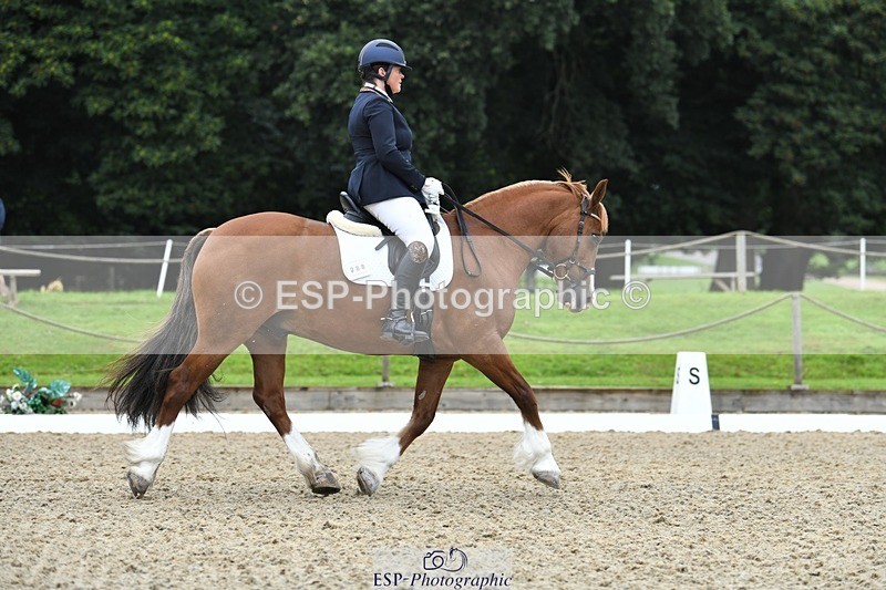 230812-091807-02754 - Cls 6 Novice Silver Start to 10.20 break