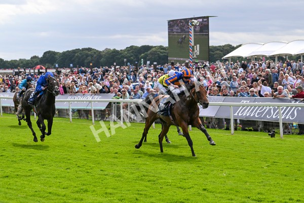 210824-Race 2-The Lion In Winter-4744 - Race 2 2.25pm Tattersalls Acomb Stakes